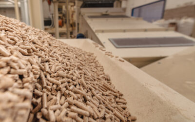 Il Viaggio dei Pellet: Dalla Macchina per Pellet alla Sostenibilità