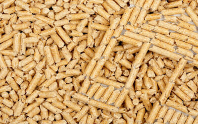 Wood Pellets Production? Invest in the future.